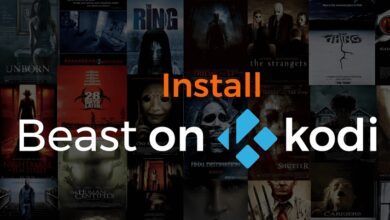 Install The Beast on Kodi