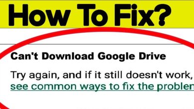 Can't Download From Google Drive